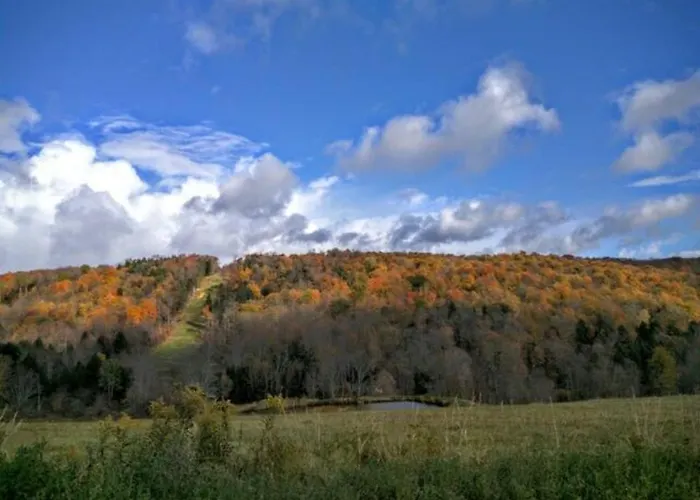 Endless Mountain Resort